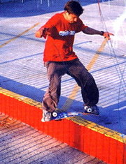 180px-rodneymullen-darkslide.jpeg